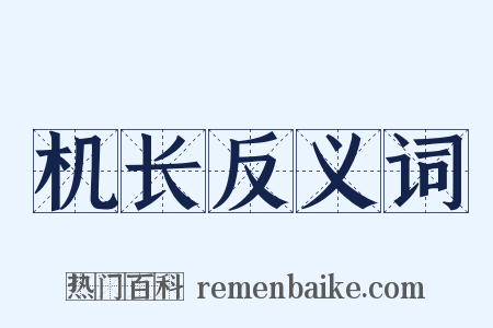 机长反义词是什么意思的图片